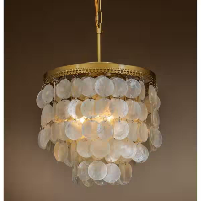 3-Light 13 In. Small Coastal Seashell Chandelier in Paintd Brass Farmhouse Pendant Light for Dining Room