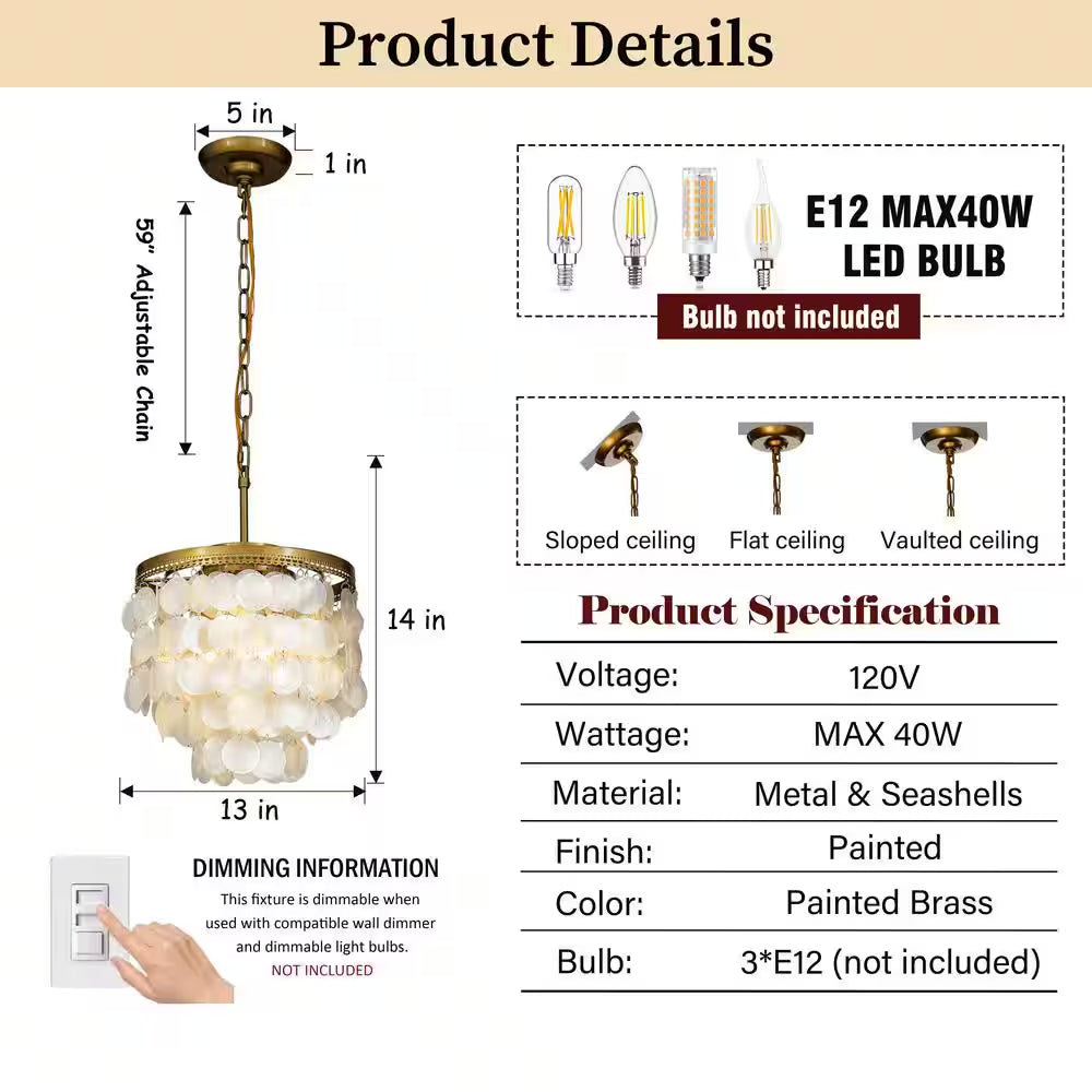3-Light 13 In. Small Coastal Seashell Chandelier in Paintd Brass Farmhouse Pendant Light for Dining Room