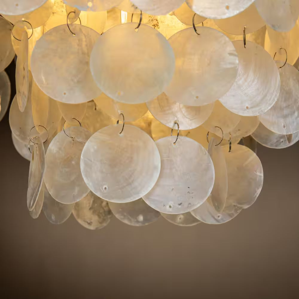 3-Light 13 In. Small Coastal Seashell Chandelier in Paintd Brass Farmhouse Pendant Light for Dining Room