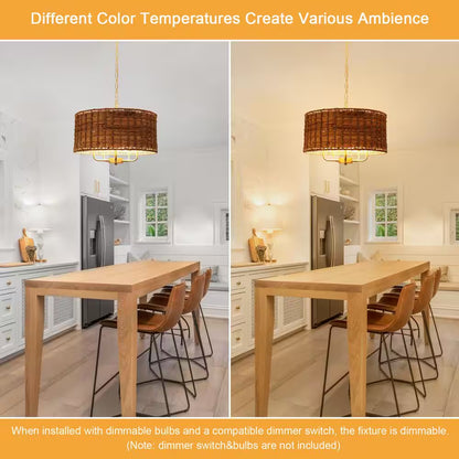 5-Light Gold Drum Bohemian Chandelier with Hand Woven Shade