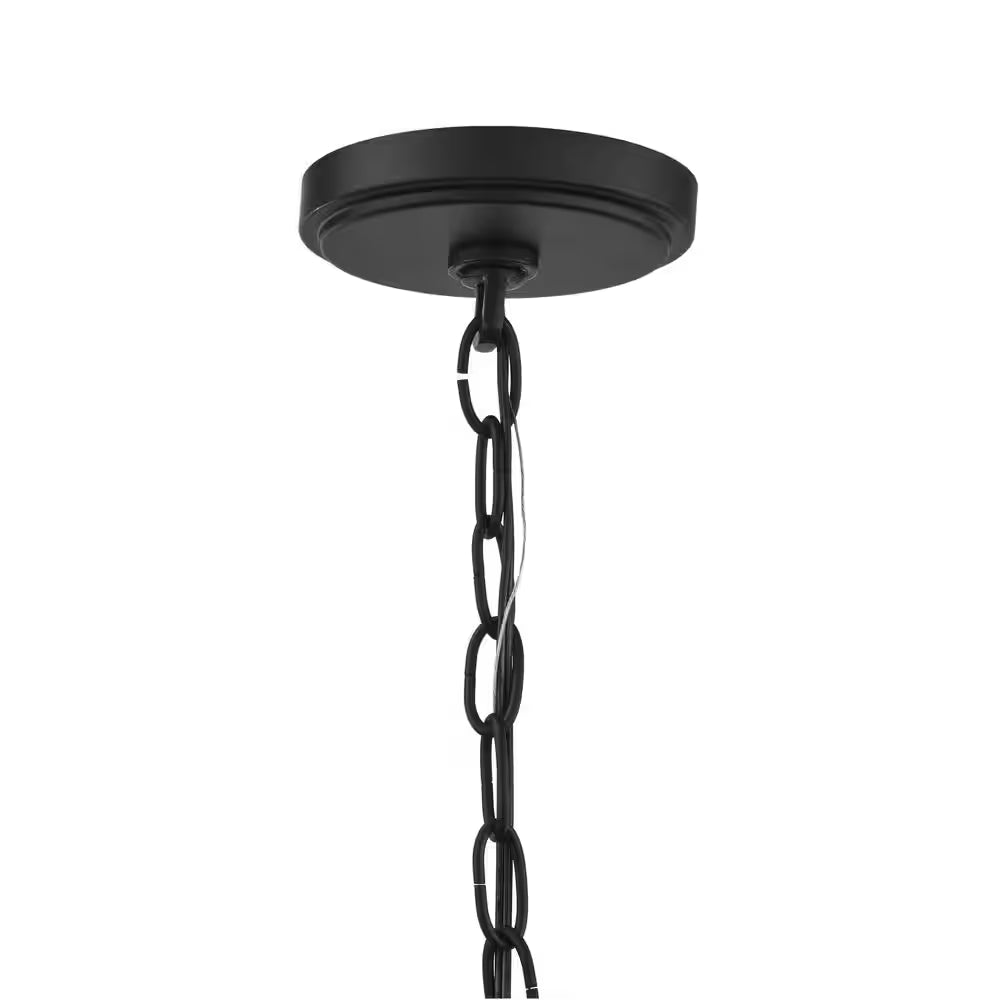 Bainbridge 24 In. 5-Light Black Outdoor Urban Industrial Chandelier with Clear Seeded Glass Shades