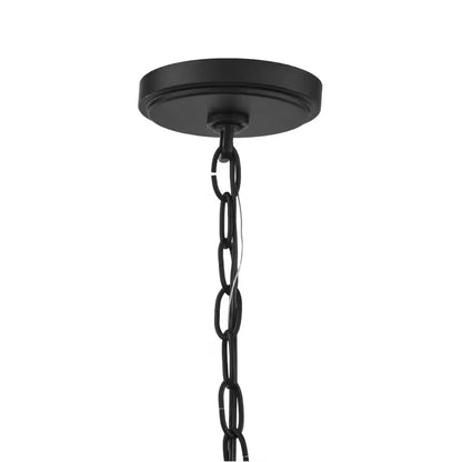 Bainbridge 24 In. 5-Light Black Outdoor Urban Industrial Chandelier with Clear Seeded Glass Shades
